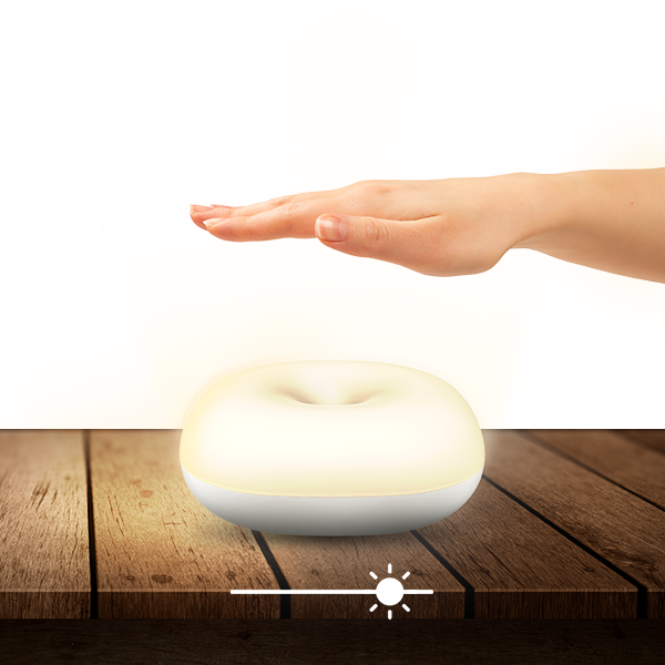 Hand Gesture Control