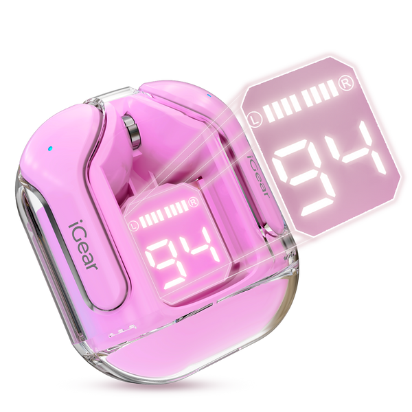 LED Digital Battery Display